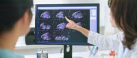 doctor shows uterus scans to her patient
